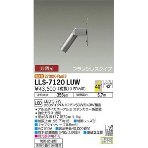 画像: 大光電機(DAIKO) LLS-7120LUW アウトドアライト ガーデンライト 非調光 電球色 ビーム角35度 フランジレスタイプ 防雨・防湿形 ステンカラー