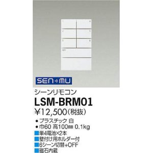 画像: 大光電機(DAIKO) LSM-BRM01 部材 シーンリモコン 6シーン切替+OFF ホワイト