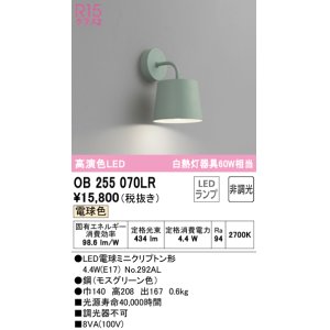 画像: オーデリック　OB255070LR　ブラケットライト 非調光 LEDランプ 電球色 モスグリーン