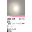 画像1: 【数量限定特価】オーデリック　OB255313R　ブラケットライト LED一体型 非調光 電球色 乳白 ￡ (1)