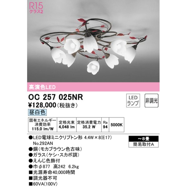 画像1: オーデリック　OC257025NR(ランプ別梱)　シャンデリア 8畳 非調光 LEDランプ 昼白色 (1)