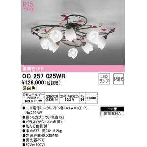 画像: オーデリック　OC257025WR(ランプ別梱)　シャンデリア 8畳 非調光 LEDランプ 温白色