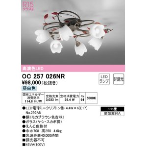 オーデリック OC257070NR(ランプ別梱) シャンデリア 8畳 非調光 LED