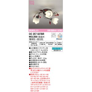 画像: オーデリック　OC257027BR　シャンデリア 調光 調色 Bluetooth コントローラー別売 LEDランプ 電球色〜昼光色