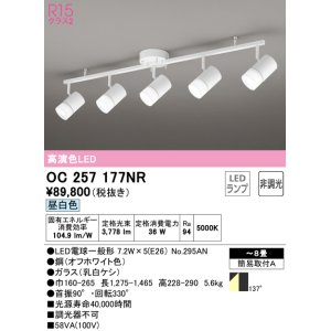 オーデリック OC006487NR(ランプ別梱) シャンデリア 10畳 非調光 LED