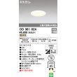 画像1: オーデリック　OD361024　ダウンライト LED一体型 白熱灯60W相当 電球色 埋込穴75 防雨・浅型 調光器不可 (1)