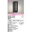 画像1: オーデリック　OG041712LCR(ランプ別梱)　エクステリア ポーチライト LEDランプ 電球色 人感センサー付 防雨型 ブラック (1)