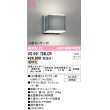 画像1: オーデリック　OG041724LCR(ランプ別梱)　エクステリア ポーチライト LEDランプ 電球色 人感センサー付 防雨型 マットシルバー (1)