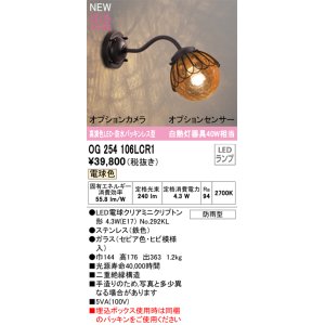 画像: オーデリック OG254106LCR1(ランプ別梱) エクステリア ポーチライト LED 電球色 高演色LED R15 防水パッキンレス型 防雨型 鉄色