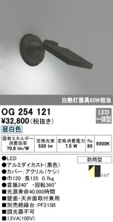 画像: エクステリアスポットライト オーデリック　OG254121　LED 昼白色