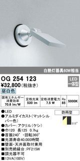 画像: エクステリアスポットライト オーデリック　OG254123　LED 昼白色