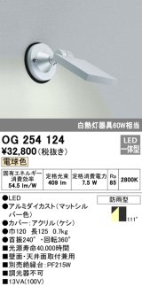 画像: エクステリアスポットライト オーデリック　OG254124　LED 電球色