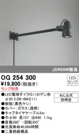 画像: オーデリック　OG254300　エクステリアスポットライト φ50LED電球ダイクロハロゲン形 ランプ別売