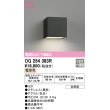 画像1: オーデリック　OG254383R　エクステリア ポーチライト LED一体型 電球色 下面配光 防雨型 ブラック (1)