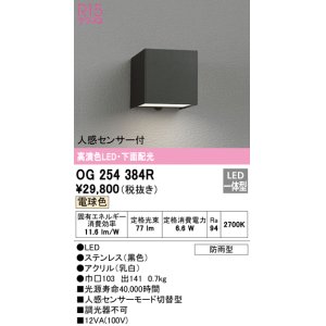 画像: オーデリック　OG254384R　エクステリア ポーチライト LED一体型 電球色 下面配光 人感センサー付 防雨型 ブラック