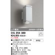 画像1: 照明器具 オーデリック　OG254389　エクステリアポーチライト LED 上下配光 電球色タイプ ランプ別売 (1)