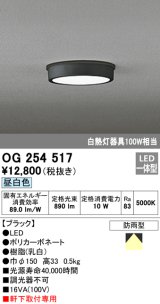 画像: オーデリック　OG254517　エクステリアダウンライト(軒下用) LED一体型 非調光 白熱灯100W相当 昼白色 ブラック