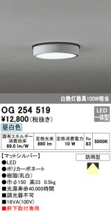 画像: オーデリック　OG254519　エクステリアダウンライト(軒下用) LED一体型 非調光 白熱灯100W相当 昼白色 マットシルバー