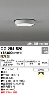 画像: オーデリック　OG254520　エクステリアダウンライト(軒下用) LED一体型 非調光 白熱灯100W相当 電球色 マットシルバー