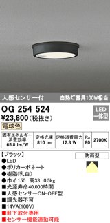 画像: オーデリック　OG254524　エクステリアダウンライト(軒下用) LED一体型 人感センサ ON-OFF型 白熱灯100W相当 電球色