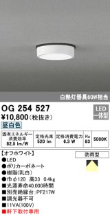 画像: オーデリック　OG254527　エクステリアダウンライト(軒下用) LED一体型 非調光 白熱灯60W相当 昼白色 オフホワイト