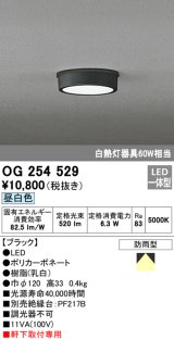 画像: オーデリック　OG254529　エクステリアダウンライト(軒下用) LED一体型 非調光 白熱灯60W相当 昼白色 ブラック