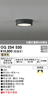 画像: オーデリック　OG254530　エクステリアダウンライト(軒下用) LED一体型 非調光 白熱灯60W相当 電球色 ブラック