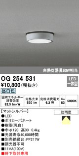 画像: オーデリック　OG254531　エクステリアダウンライト(軒下用) LED一体型 非調光 白熱灯60W相当 昼白色 マットシルバー