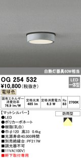 画像: オーデリック　OG254532　エクステリアダウンライト(軒下用) LED一体型 非調光 白熱灯60W相当 電球色 マットシルバー