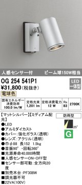 画像: オーデリック　OG254541P1　エクステリアスポットライト LED一体型 電球色 ビーム球150W相当 ミディアム配光 防雨型 マットシルバー