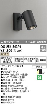 画像: オーデリック　OG254543P1　エクステリアスポットライト LED一体型 電球色 ビーム球150W相当 ワイド配光 防雨型 黒