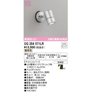 オーデリック OG254574LR エクステリア スポットライト LEDランプ 電球