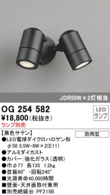 画像: オーデリック　OG254582　エクステリアスポットライト LED 防雨型 黒色サテン ランプ別売