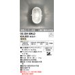 画像1: オーデリック　OG254604LD(ランプ別梱)　エクステリアポーチライト LED電球クリアミニクリプトン形 電球色 非調光 (1)