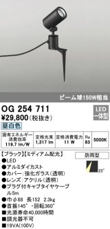 画像: オーデリック　OG254711　エクステリアスポットライト LED一体型 昼白色 ミディアム配光 防雨型 ブラック