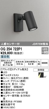 画像: オーデリック　OG254722P1　エクステリアスポットライト LED一体型 昼白色 JDR75W相当 ミディアム配光 防雨型 黒