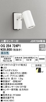 画像: オーデリック　OG254724P1　エクステリアスポットライト LED一体型 昼白色 JDR75W相当 ワイド配光 防雨型 オフホワイト