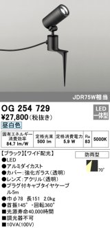 画像: オーデリック　OG254729　エクステリアスポットライト LED一体型 昼白色 ワイド配光 防雨型 ブラック