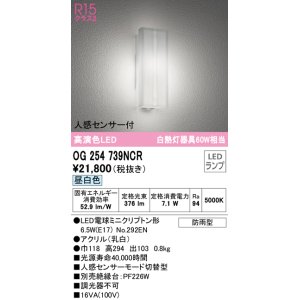 オーデリック OG254739LCR(ランプ別梱) エクステリア ポーチライト LED