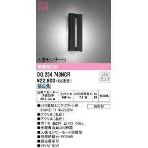 オーデリック OG254743LCR(ランプ別梱) エクステリア ポーチライト LED