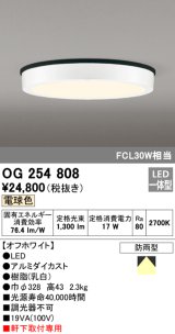 画像: オーデリック　OG254808　エクステリアダウンライト LED一体型 非調光 電球色 オフホワイト 防雨型