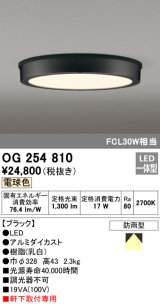 画像: オーデリック　OG254810　エクステリアダウンライト LED一体型 非調光 電球色 ブラック 防雨型