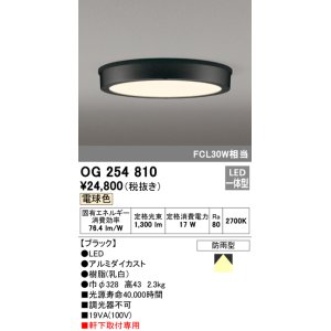 オーデリック OG254808 エクステリアダウンライト LED一体型 非調光