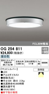 画像: オーデリック　OG254811　エクステリアダウンライト LED一体型 非調光 昼白色 マットシルバー 防雨型