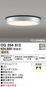 画像: オーデリック　OG254812　エクステリアダウンライト LED一体型 非調光 電球色 マットシルバー 防雨型