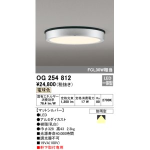 画像: オーデリック　OG254812　エクステリアダウンライト LED一体型 非調光 電球色 マットシルバー 防雨型