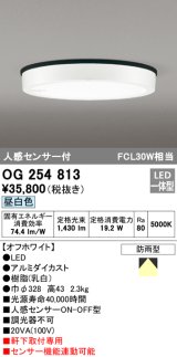 画像: オーデリック　OG254813　エクステリアダウンライト LED一体型 人感センサON-OFF 昼白色 オフホワイト 防雨型