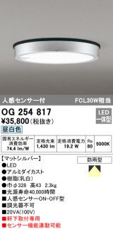 画像: オーデリック　OG254817　エクステリアダウンライト LED一体型 人感センサON-OFF 昼白色 マットシルバー 防雨型