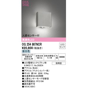 オーデリック OG254797NCR(ランプ別梱) エクステリア ポーチライト LED