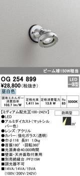 画像: オーデリック　OG254899　エクステリアスポットライト LED一体型 昼白色 ミディアム配光 防雨型 マットシルバー